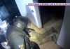 Filmul intervenției cu împușcături, în casa unui individ înarmat din Neamț, ucis de trupele speciale. A fost somat repetat