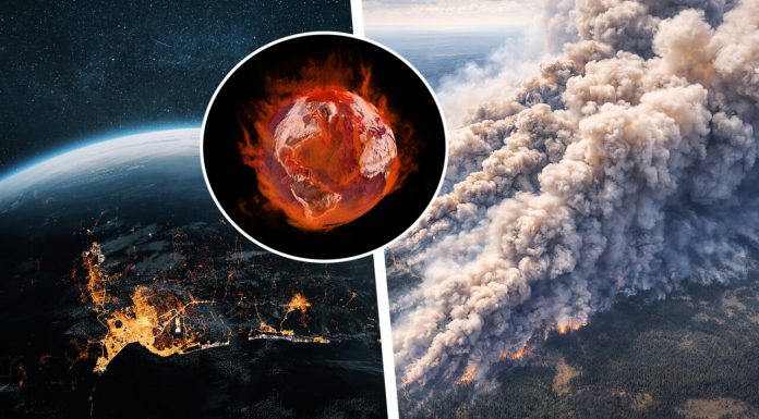 Semnal de alarmă. Indicatorii climatici ating valori fără precedent. „Emisiile globale de gaze cu efect de seră au atins un maxim istoric”