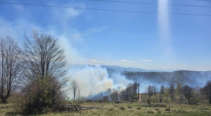 Incendiu de vegetație, întețit în județul Hunedoara din cauza vântului puternic. Pompierii intervin