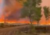 Un incendiu devastează un poligon militar din estul Olandei. Stingerea lui ar putea dura câteva zile din cauza condiţiilor meteo – VIDEO