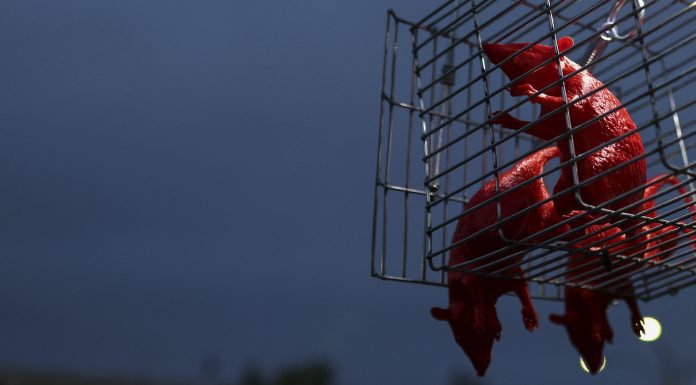 FOTO Câteva sute de persoane în piață pentru Bolojan, la Guvern. Berceanu, huiduit și scos cu jandarmii din piață