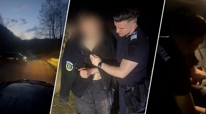 Urmărit de urs în pădure, un tânăr și-a abandonat motocicleta ca să scape. A fost salvat de jandarmi