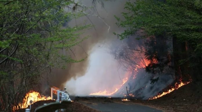Evacuări în nordul Japoniei, din calea unor incendii de pădure care se apropiau de un orăşel