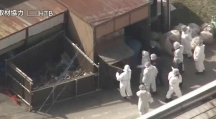 Un angajat al unei grădini zoologice din Japonia mărturiseşte că şi-a ucis soţia şi i-a ars cadavrul în incineratorul grădinii ”timp de câteva ore”