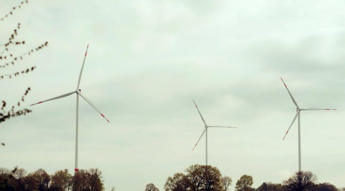 Investiție gigant cu impact și în România – Eurowind Energy, prezentă și pe piața locală, atrage o investiție de 2 miliarde de euro de la fondul american Blackstone