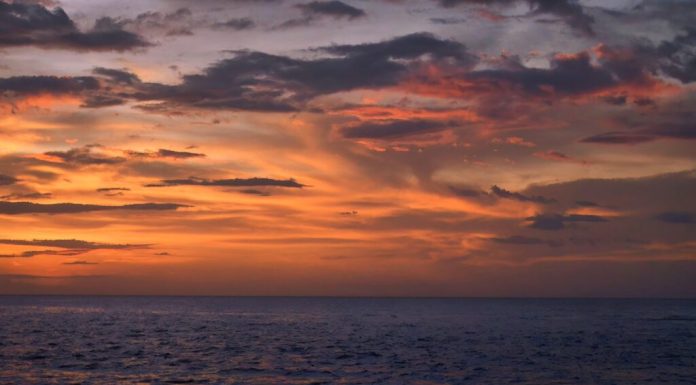 Un mister nerezolvat. Creatura marină uriașă pe care cercetătorii nu au văzut-o niciodată