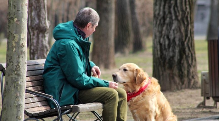 Zooland.ro – Lucruri pe care oamenii le fac și câinii le urăsc în secret