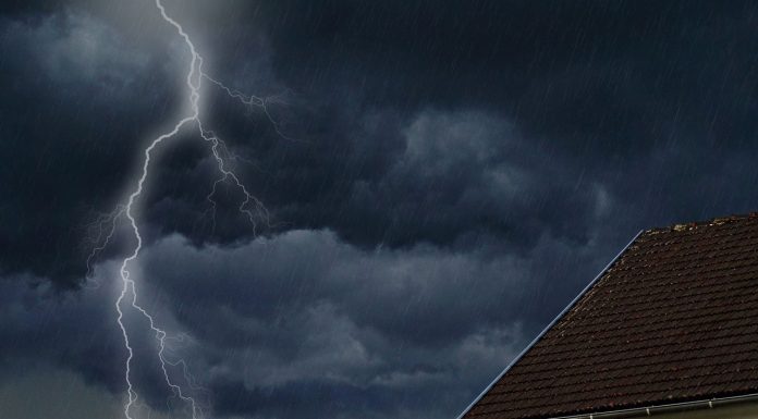 Explozie a profitului din polițe obligatorii pentru locuințe. Profitul PAID s-a dublat. Compania nu va acorda dividende