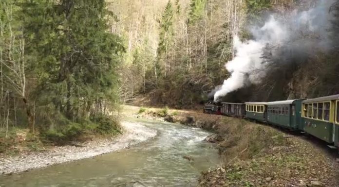 Record la turiști în plimbarea cu Mocănița, de Paște. Cât a ajuns să coste un bilet, cu masa inclusă