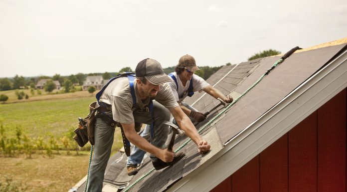 Guvernul a adoptat OUG pentru digitalizarea și reglementarea accesului lucrătorilor străini pe piața muncii din România