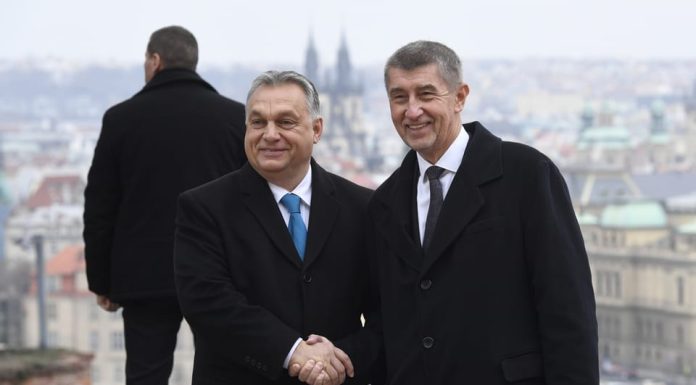 Premierul ceh își exprimă susținerea pentru Viktor Orban înaintea alegerilor parlamentare de duminică. Ce spune Babis despre scrutin