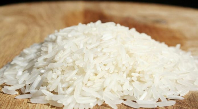 Protejarea sectorului orezului a eșuat în Parlamentul European. Care este motivul