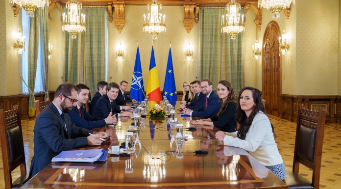 Oana Ţoiu: Dacă unul din partidele de coaliţie se decide să renunţe la propriile angajamente, asta îi priveşte şi tot la ei este responsabilitatea de a veni înapoi într-un mediu constructiv în care putem găsi soluţii pentru România