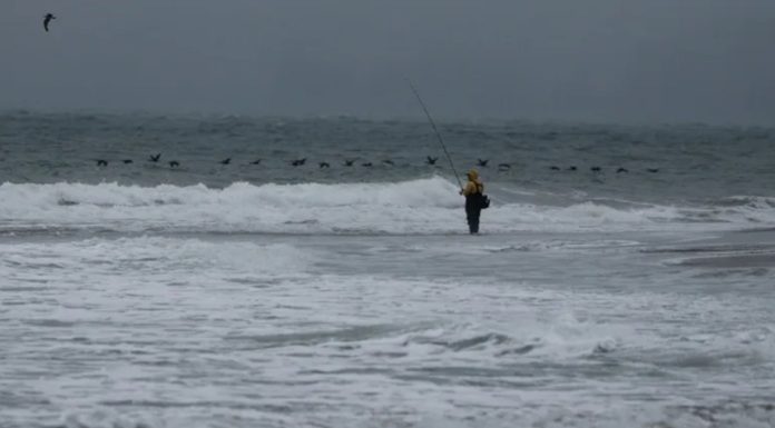 Copernicus: Oceanele se apropie de recordul de căldură