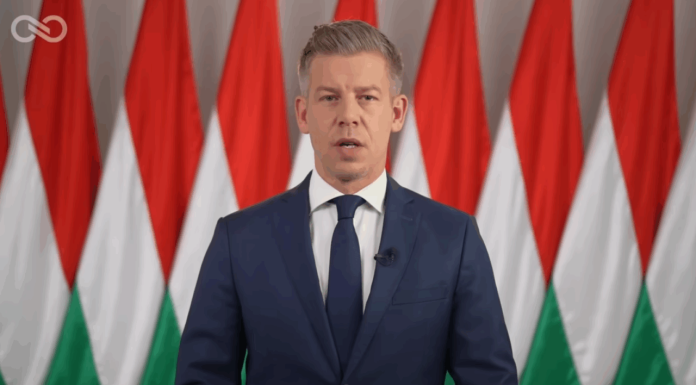 Péter Magyar cere demisia președintelui Ungariei, dar și a liderilor de stat numiți de Viktor Orbán
