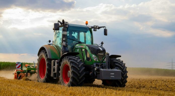 Guvernul aprobă peste 180 de milioane de euro pentru fermieri prin ajutoarele naționale tranzitorii