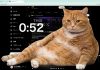 O pisică îi oprește pe utilizatorii care stau prea mult pe rețelele de socializare. Ce este Cat Gatekeeper