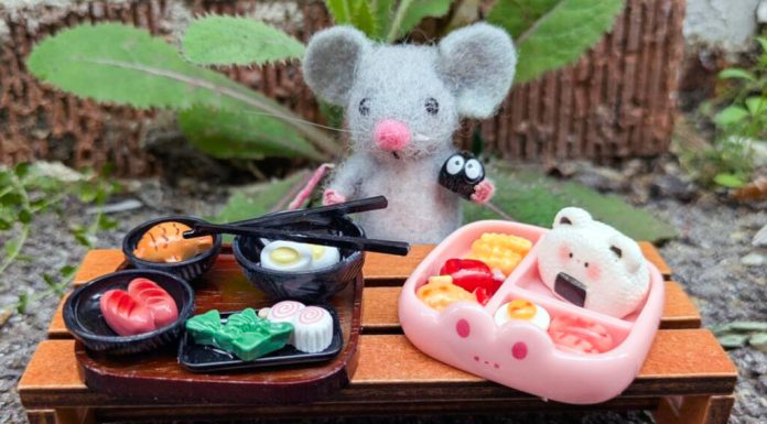 Cel mai mic muzeu din Mississippi. O simplă alee devine „Țara Minunilor”