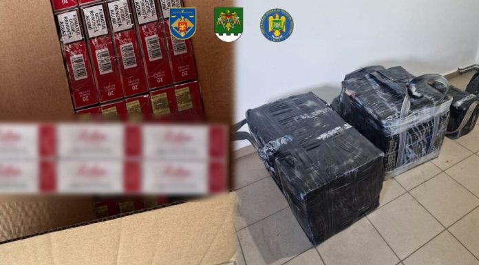 Rețea de contrabandă cu țigări, destructurată în Republica Moldova cu sprijinul Poliției de Frontieră Române