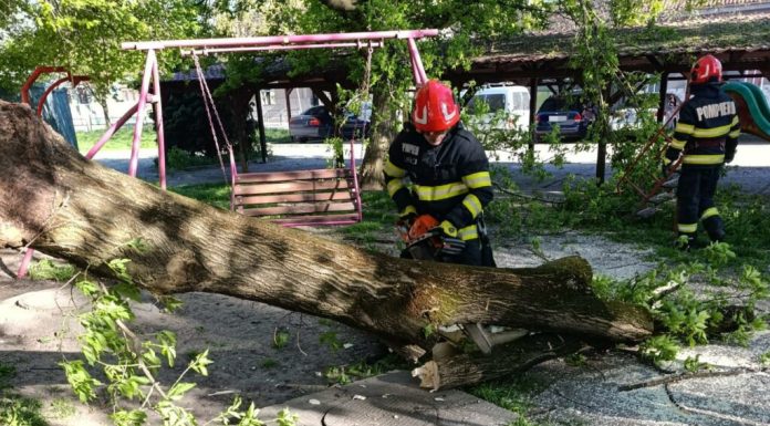IGSU: Un mort și trei răniți. Vântul puternic de duminică a afectat 72 de localități din țară