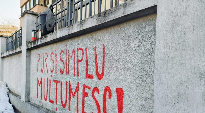 (P) Mesajul „Pur și simplu mulțumesc!” cucerește România