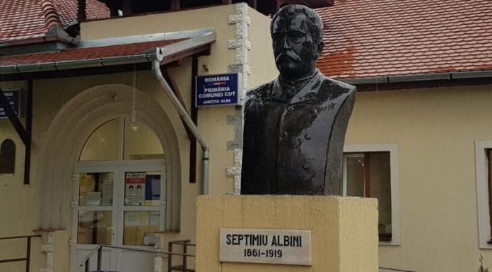 O primărie din judeţul Alba a plătit, timp de doi ani, 38 de abonamente de telefonie mobilă, în condiţiile în care avea doar 10 angajaţi