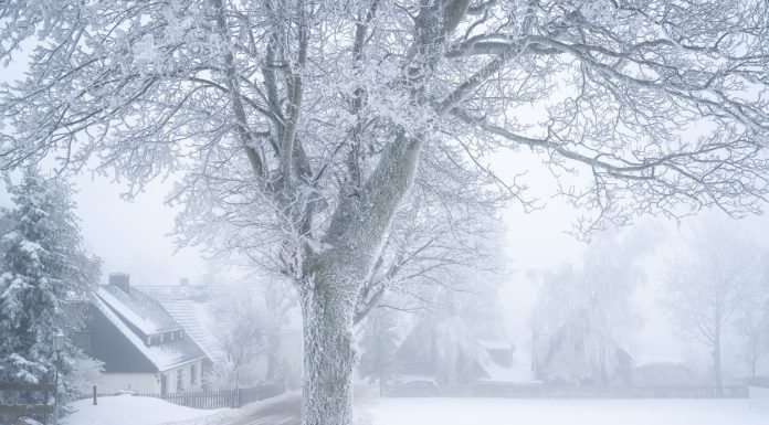 Se schimbă radical vremea și revin iernile de altădată? Ce spune climatologul Lucian Sfîcă despre modificările climatice