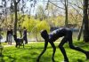 RAD Sculpture Park 2026 – Peste 60 de artişti expun mai mult de 100 de lucrări pe malul lacului Tei
