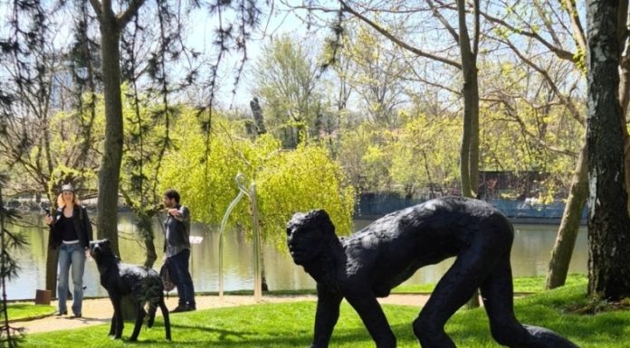 RAD Sculpture Park 2026 – Peste 60 de artişti expun mai mult de 100 de lucrări pe malul lacului Tei