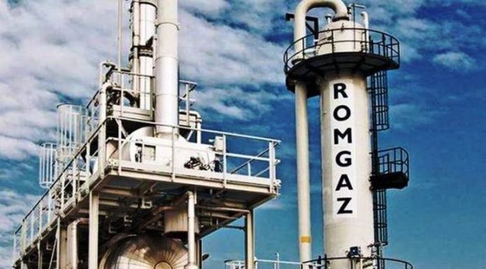 Romgaz distribuie dividende inclusiv din rezultatul reportat, dar randamentul este foarte mic