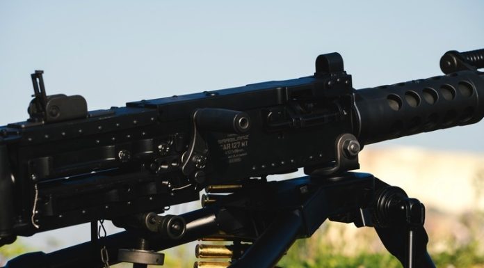 Descoperire a unui ministru în România: În fabrici militare plouă și cresc copaci