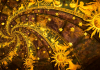 Horoscop 30 aprilie. Berbecii încep ceva nou, Racii scapă de griji