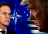 Reuters: Șeful NATO, Mark Rutte, le-a transmis aliaților că Trump dorește angajamente „concrete“ privind strâmtoarea Ormuz în câteva zile