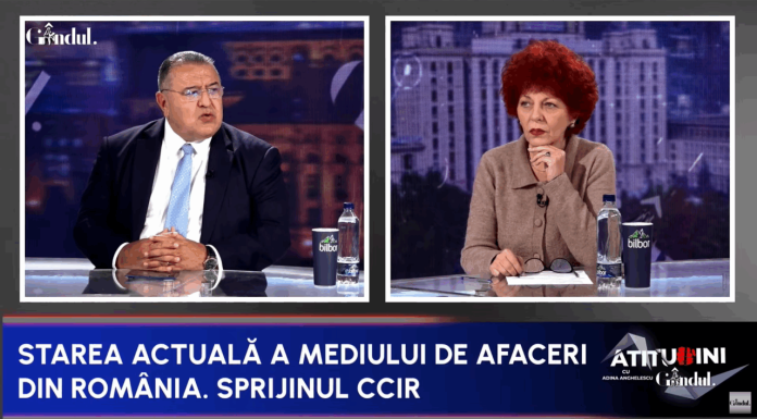 Mihai Daraban, șeful Camerei de Comerț: „România este pe ultimul loc la inovare și cercetare în UE. Nu avem branduri românești cu valoare adăugată”