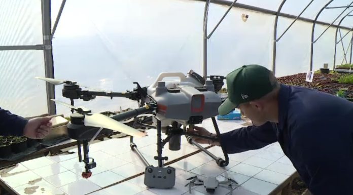 De la robotică sau pilotarea dronelor la nutriție: școlile-pilot schimbă complet programa pentru viitorul elevilor