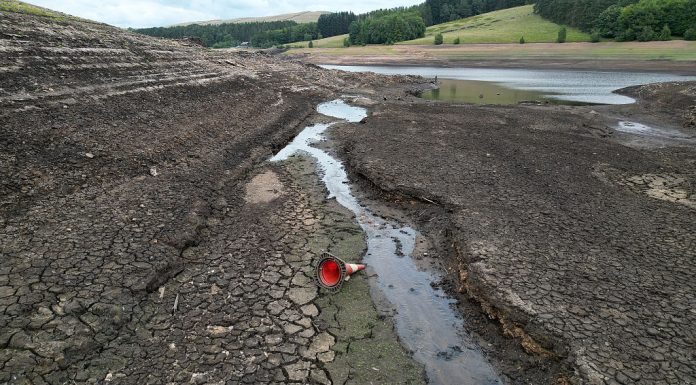 Semnal de alarmă pentru toată planeta. Umanitatea se îndreaptă spre noi valuri de căldură extremă