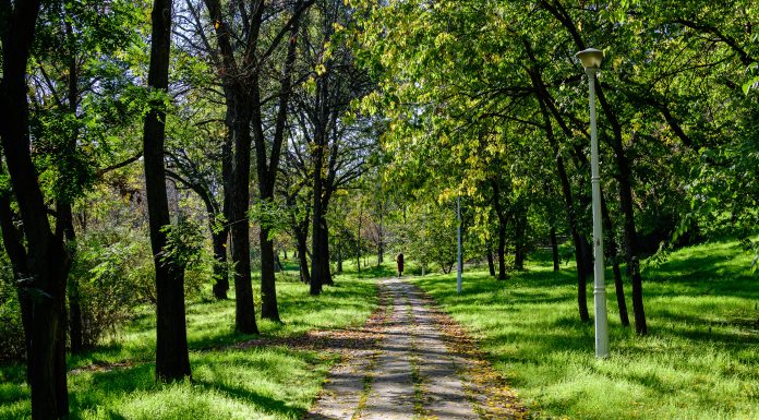 Vremea azi, 19 aprilie. Soare în majoritatea zonelor, dar sunt așteptate și ploi slabe. Maximele zilei