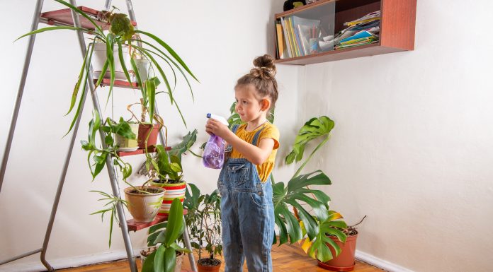 Plante din casă care pot fi periculoase pentru copii. Ce efecte toxice pot avea asupra celor mici