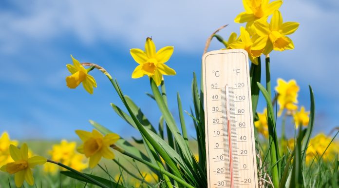 Vremea azi, 16 aprilie. Temperaturile cresc peste normal în toată țara, însă va ploua spre seară în mai multe regiuni