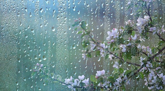 Un ciclon va traversa România. Urmează ploi și temperaturi scăzute de săptămâna viitoare până la sfârșitul lunii