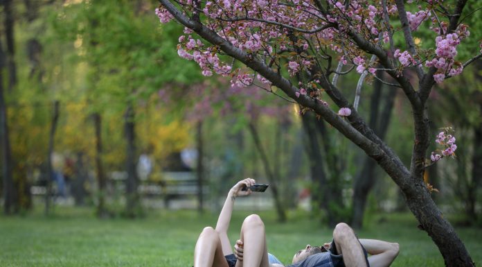 Vremea azi, 15 aprilie 2026. Soare și mai cald decât ar trebui. Până la cât urcă temperaturile