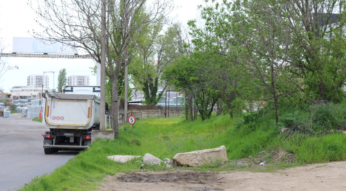 Mii de locuitori din Sectorul 3 cer amenajarea Parcului Pallady, lângă staţia de metrou Nicolae Teclu: Primăria Capitalei confirmă nevoia de noi spaţii verzi publice în zonă, dar administraţia publică întârzie să acţioneze