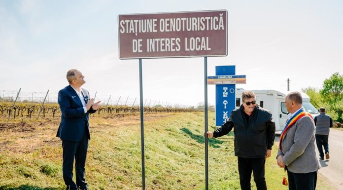 Unde se află prima stațiune oenoturistică din România. Se fac investiții de zeci de milioane de euro