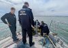 Poliţiştii de frontieră au salvat 17 sturioni care fusese prinşi în plase ilegale în Marea Neagră – VIDEO