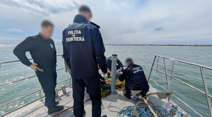 Poliţiştii de frontieră au salvat 17 sturioni care fusese prinşi în plase ilegale în Marea Neagră – VIDEO