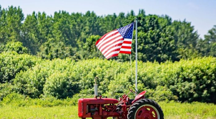 Cumpărătorii americani redirecţionează îngrăşămintele importate către export, pe fondul scumpirilor globale provocate de războiul cu Iranul