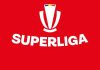 Superliga: Petrolul Ploieşti –FC Hermannstadt 1-1