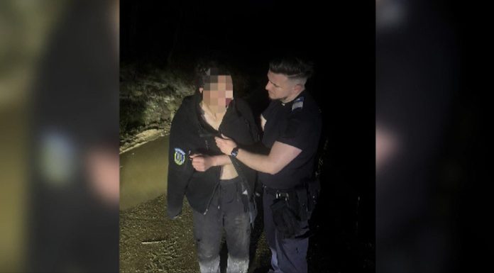 Un tânăr din Bistrița, care se afla pe motocicletă, s-a întâlnit cu un urs în pădure. Doar el a scăpat întreg