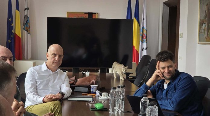 FOTO Schimbări la terase în București: Funcționare pe tot parcursul anului, ca la Viena și Paris, vor antreprenorii. Discuții la Primăria Capitalei cu o pisică pe masă