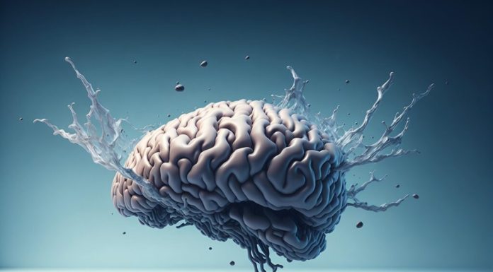 Oamenii de știință tocmai au descoperit un „canal de scurgere” ascuns în creierul uman